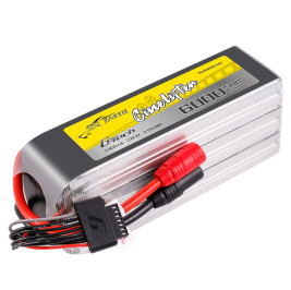 Gens ace G-Tech LiPo - 6S 6000mAh 22,2V 6S1P (150C) AS150 Plug