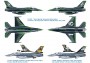 1:72 F-16 ADF/AM ″Special Colors″