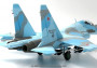 1:72 Sukhoi Su-30M2 Flanker-C, Russian Air Force, Blue 91, Russia, 2014