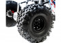 1:10 Axial RBX10 Ryft 4WD Kit (stavebnice)