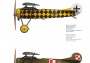 1:72 Fokker E.V Junior Set (1x camo)