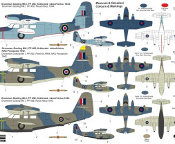 1:72 Grumman Gosling Mk.I