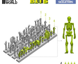 3D Printed Set Human Skeletons (4 pcs)